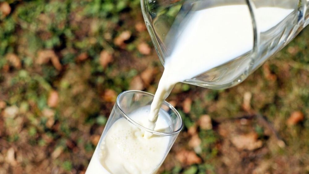 INS: Importurile de lapte brut au crescut cu 34,3%, în primele două luni