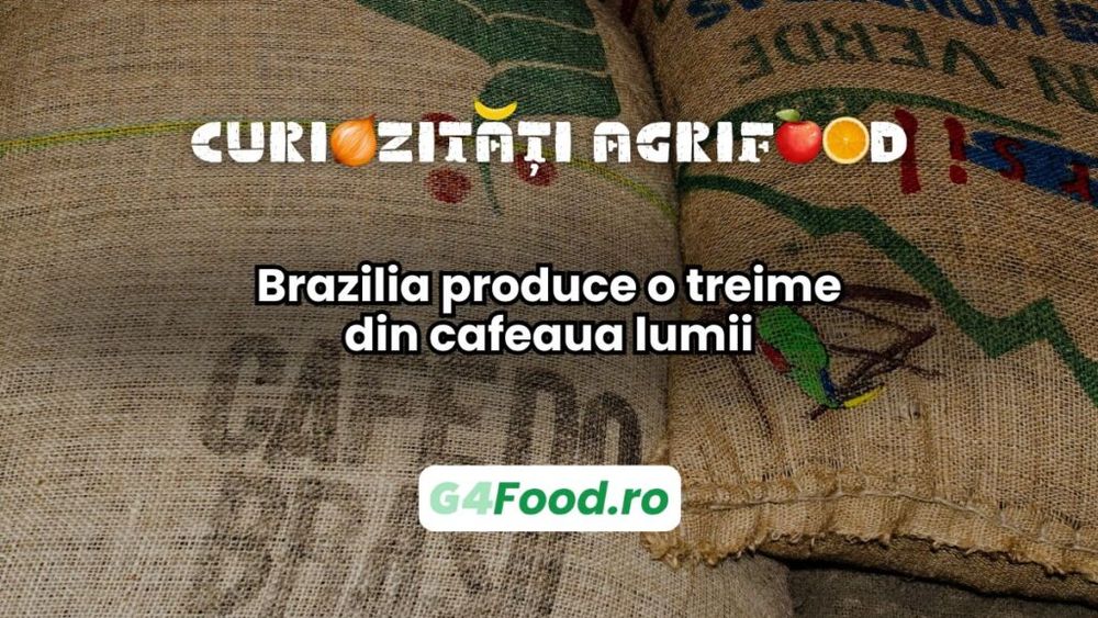 Curiozitate agri-food: Brazilia produce o treime din cafeaua lumii / Solul fertil și clima caldă sprijină dominanța globală care durează de peste un secol