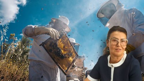 VIDEO | Ruta Mierii din Banat/ Silvia Păturică (profesor la Universitatea de Științele Vieții din Timișoara): „Turistul privește viața albinelor și cum muncesc și, în același timp, printr-o mască de unică folosință, va inhala aerul din stup, mirosul mierii”