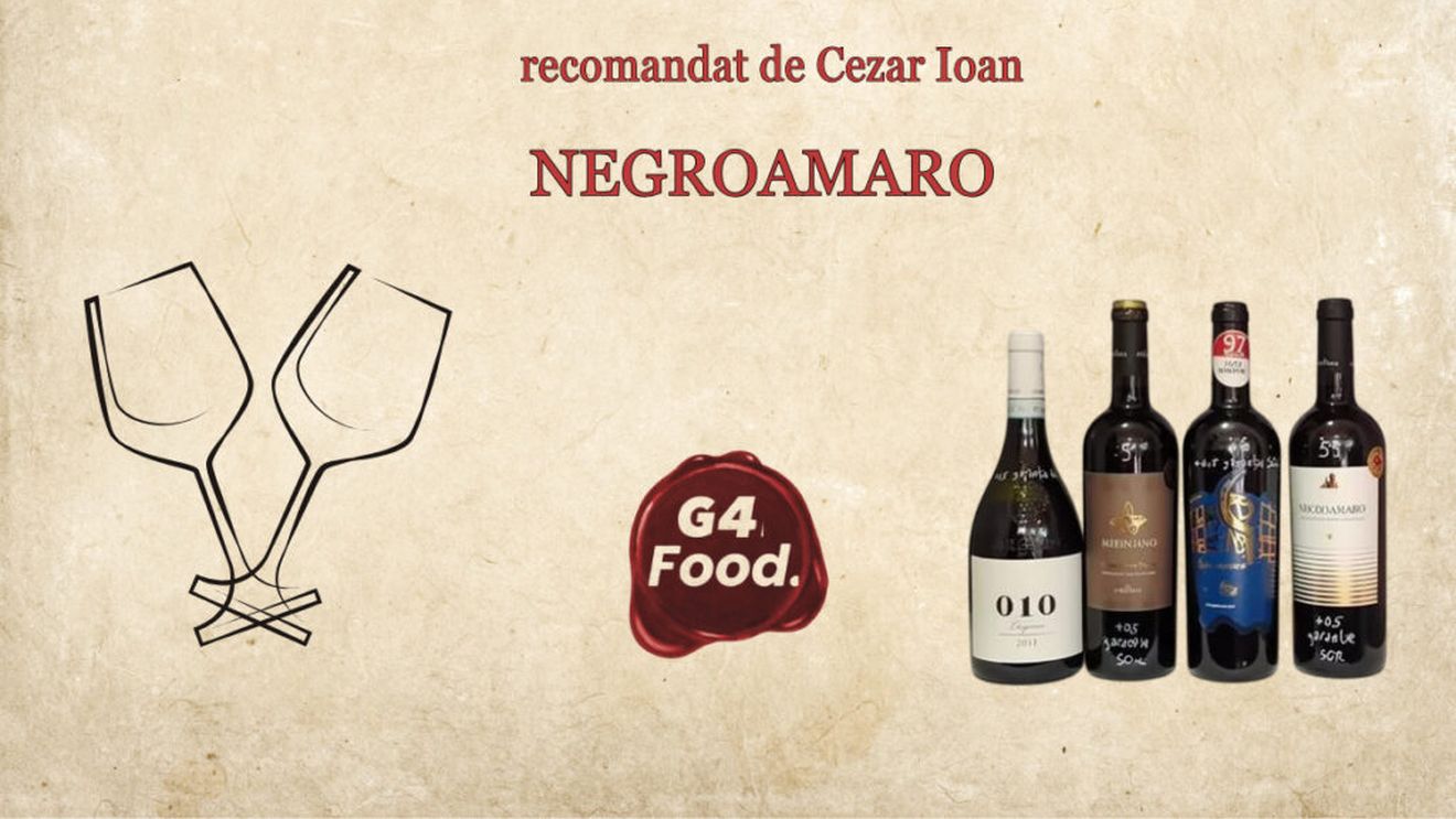 VIDEO | Vinul săptămânii: Negroamaro, alternativa elegantă la Primitivo care câștigă teren în București