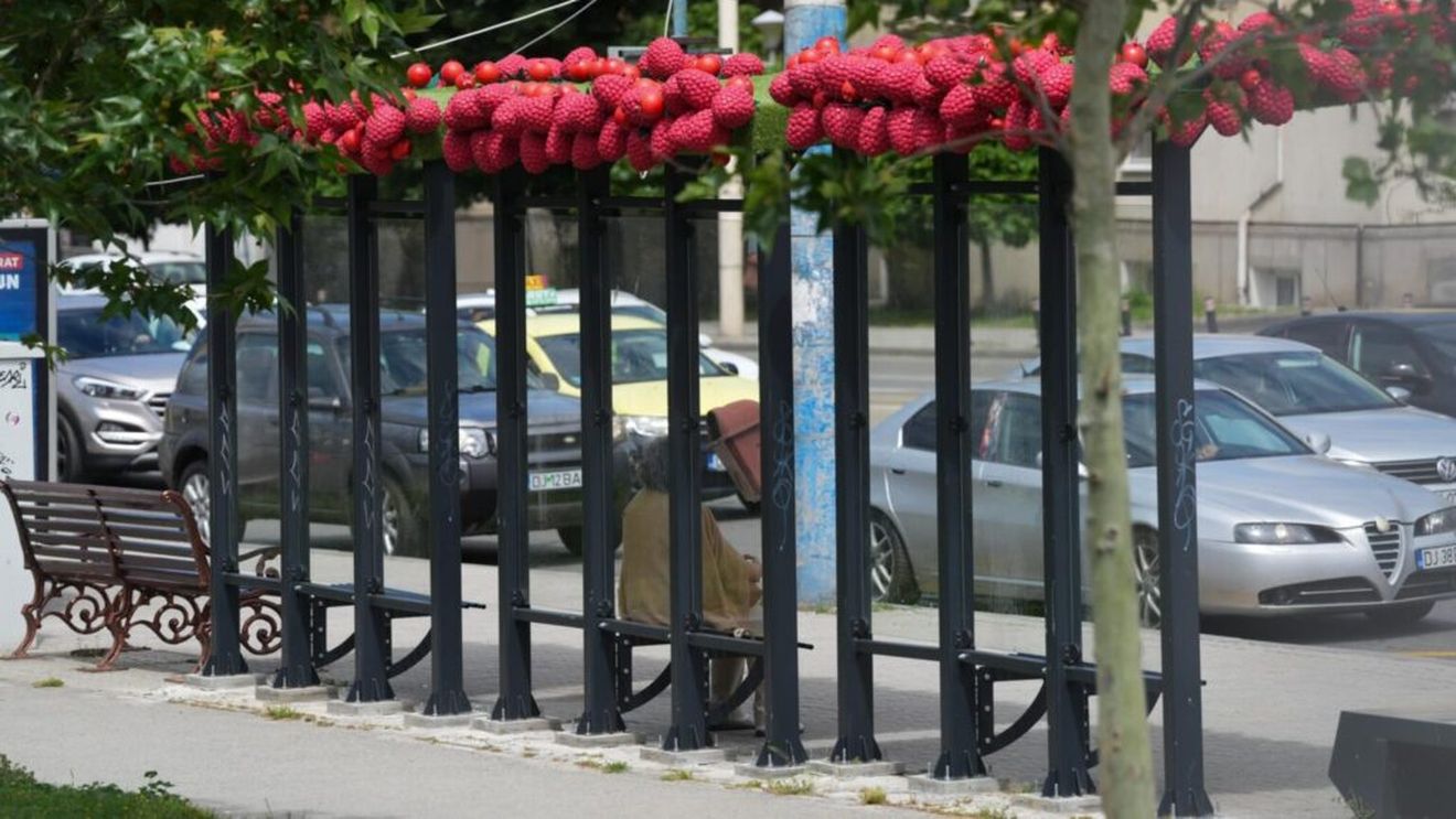 Stații de autobuz cu gust de tuttifrutti la Craiova, unde primăria a decorat spațiile acoperite de așteptare cu fructe supradimensionate