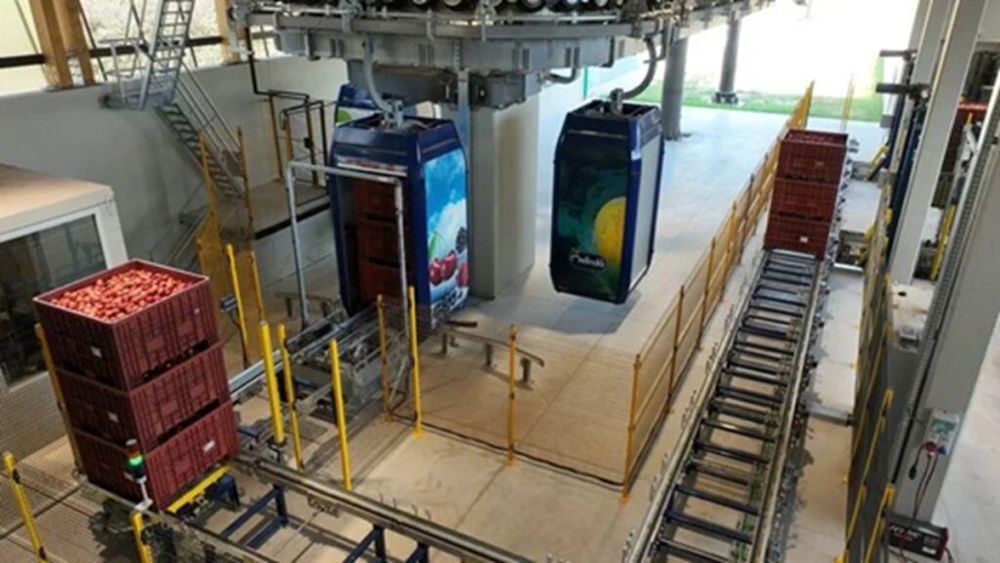 Merele italiene au acum propriul lor teleferic / Recolta este transportată de pe dealuri până în depozitele de la bază