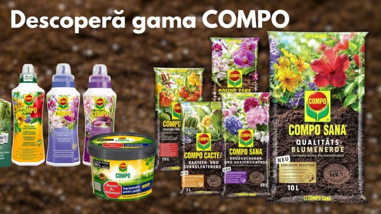 COMPO în România, prin Verdon