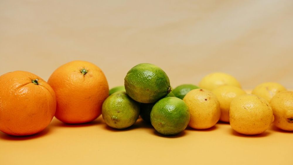 Dăunători din Africa de Sud distrug culturile de citrice din Spania, aflate în prezent în fază de dezvoltare. Agricultorii de aici cer guvernului spaniol și UE mai multe măsuri de protecție și controlul importurilor