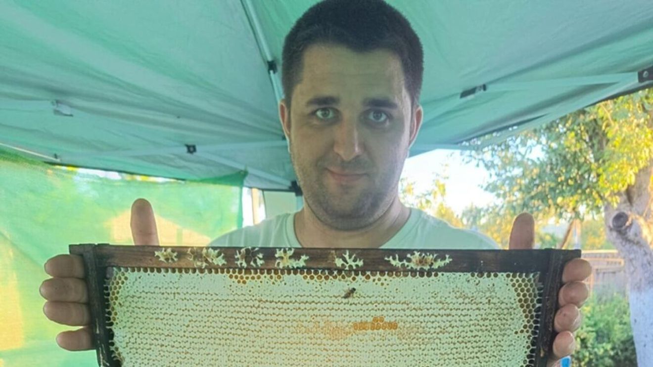 De la fructe de pădure la apicultură / Povestea tânărului inginer care a inventat un cântar inteligent pentru stupi