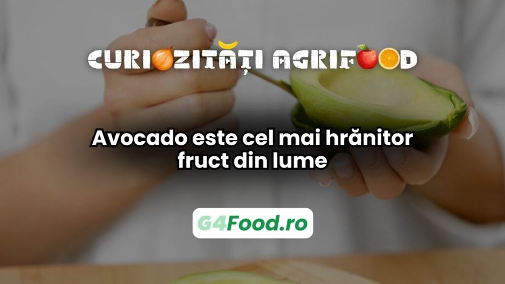Curiozitate agri-food 12 martie: Avocado este unul dintre cele mai hrănitoare fructe din lume / Furnizează aproximativ 250 de calorii la 100 de grame