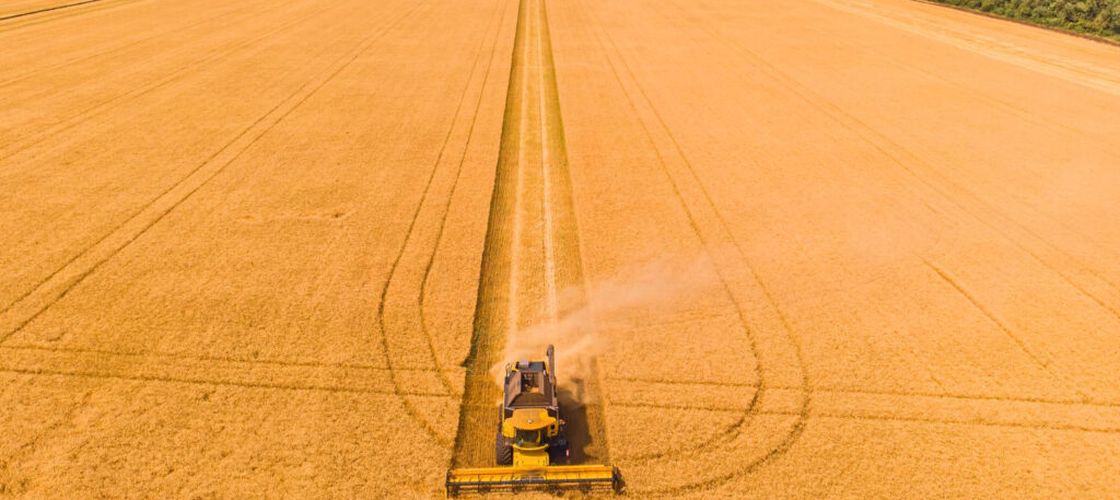 Un gigant agricol cu sute de mii de hectare a fost naționalizat în Rusia, pe fondul presiunilor tot mai mari asupra mediului de afaceri / Proprietarul este în arest