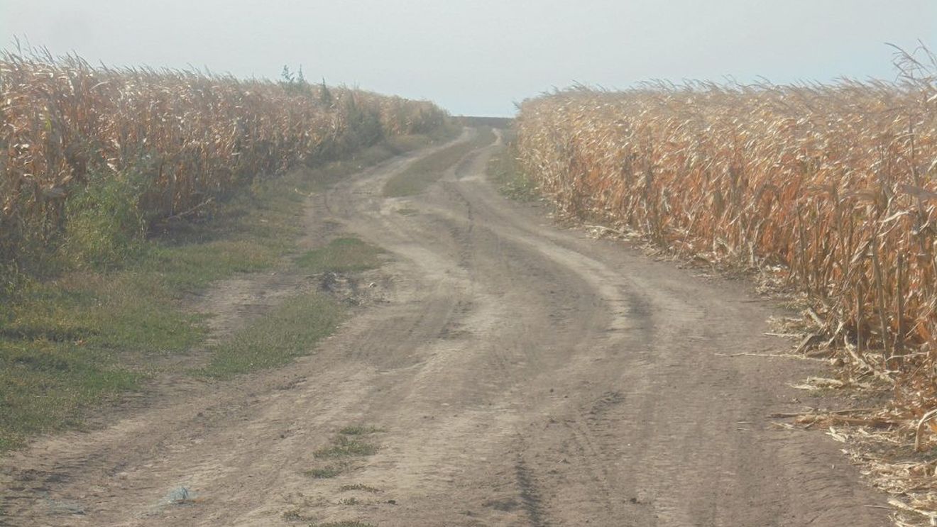 Impozite de 500% pentru terenurile agricole nelucrate / Ce prevede proiectul inițiat de primăria municipiului Alba Iulia