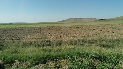 Câteva previziuni pentru sectorul agroalimentar din România, în 2021