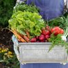 Tot mai mulți români caută produse „proaspăt recoltate” / Ridichile și verdețurile locale, printre cele mai cumpărate alimente ale sezonului