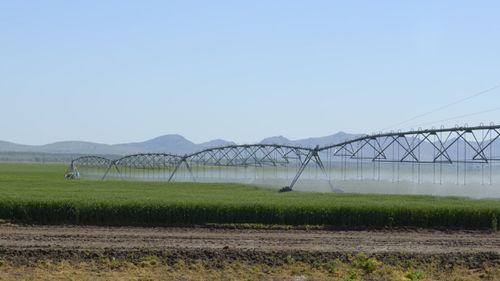 Agricultorii români, susţinuţi prin alocarea de fonduri suplimentare pentru irigaţiile efectuate pe perioada secetei din acest an / Guvern: Bugetul Ministerului Agriculturii, suplimentat cu aproape 125 de milioane de lei