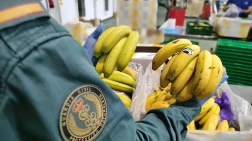 FOTO-VIDEO | Produse alimentare contrafăcute şi de calitate slabă, în valoare de 95 de milioane de euro, ridicate într-o operaţiune globală, coordonată de Europol 