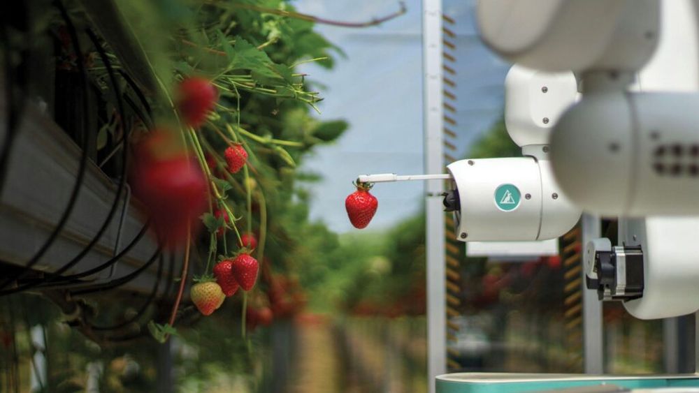 Universitatea pentru Ştiinţele Vieţii „Ion Ionescu de la Brad” dezbate la Iași viitorul agriculturii inteligente