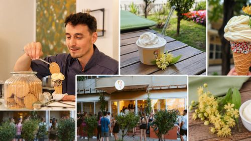O gelaterie din Iași lansează înghețata cu flori de tei. Aroma, inspirată de parfumul orașului / „Fiecare cupă trezește amintiri: plimbări prin Copou, serile liniștite de iunie, teii înfloriți și farmecul inconfundabil al Târgului Iașilor”