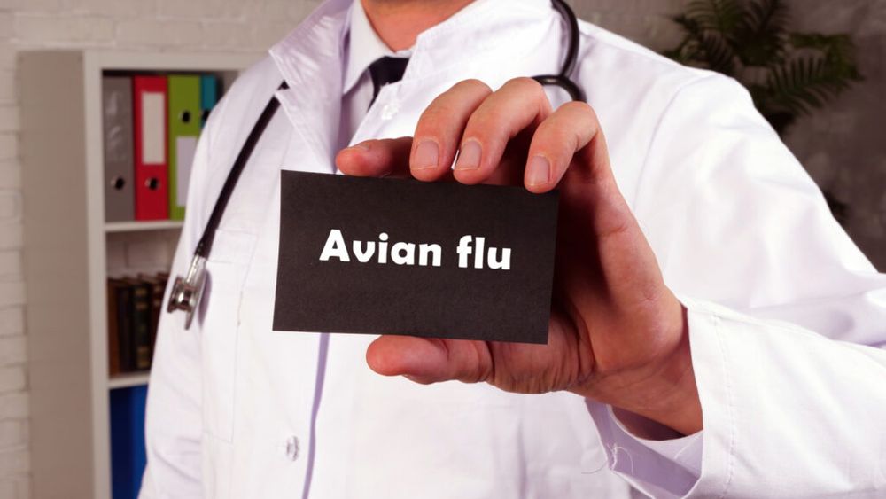 Slovacia anunţă descoperirea unui focar de gripă aviară H5N1