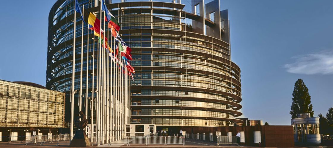 Fermierii români salută votul Parlamentului European privind soia / APPR cere reguli diferențiate în funcție de origine și riscul real de defrișare