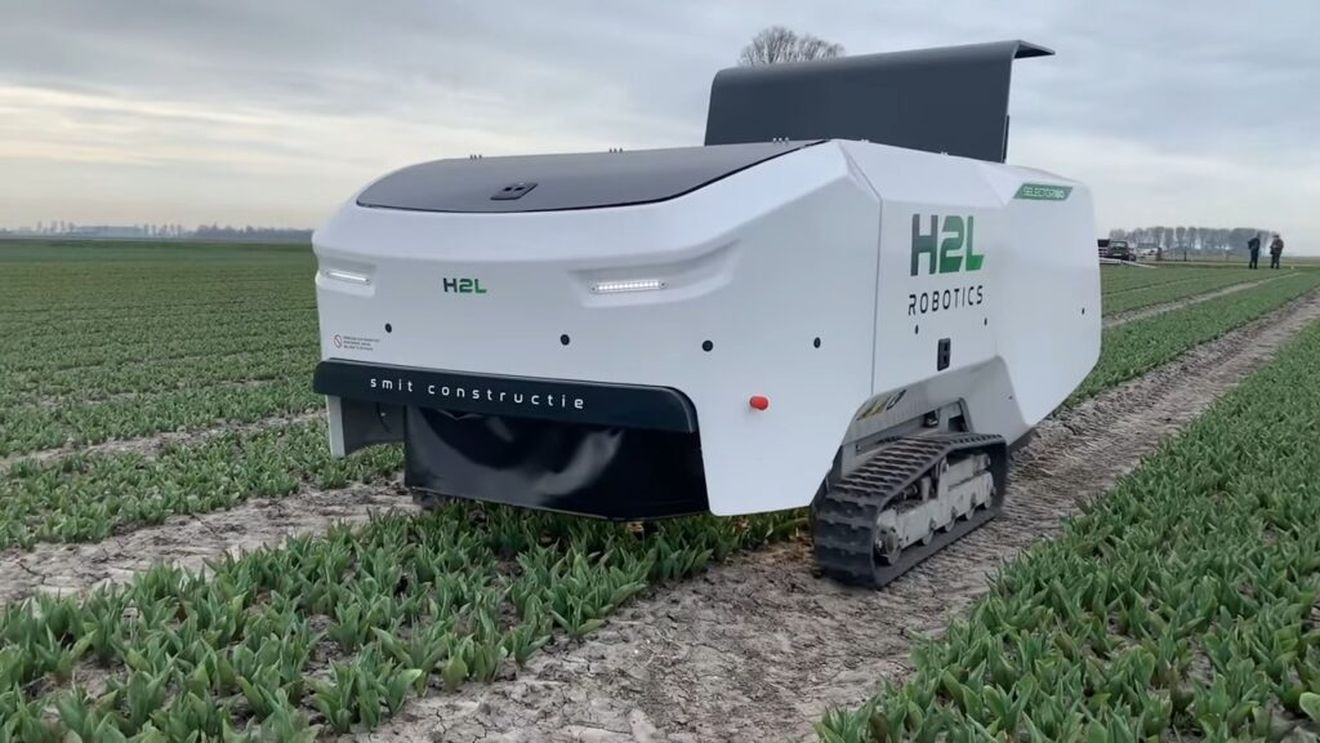 Fermierii olandezi se bazează pe acest robot de 185.000 de euro, cu inteligență artificială, pentru a elimina lalelele bolnave / Omul căruia i-a luat locul, despre vehicul: „E fantastic”