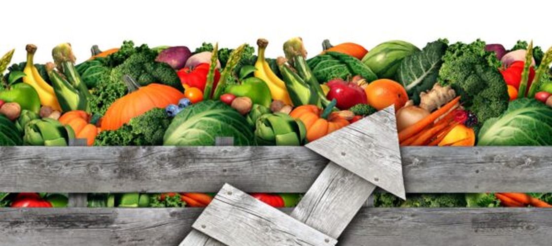 Prețurile globale la alimente au explodat, ajungând cel mai înalt nivel după 2022. Cerealele, zahărul și lactatele sunt în topul scumpirilor