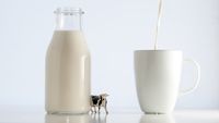 Cât de sigur pentru consum este laptele crud? Ce se poate ascunde într-un pahar de lapte nepasteurizat