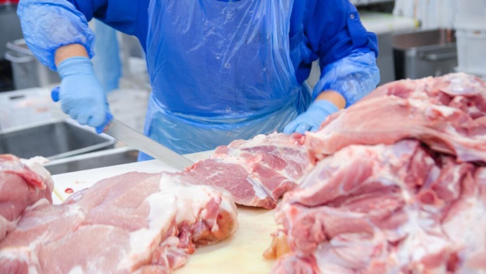 Producția de carne a scăzut la porcine, ovine şi păsări / Creşteri uşoare doar la bovine, faţă de 2024 şi față de luna aprilie