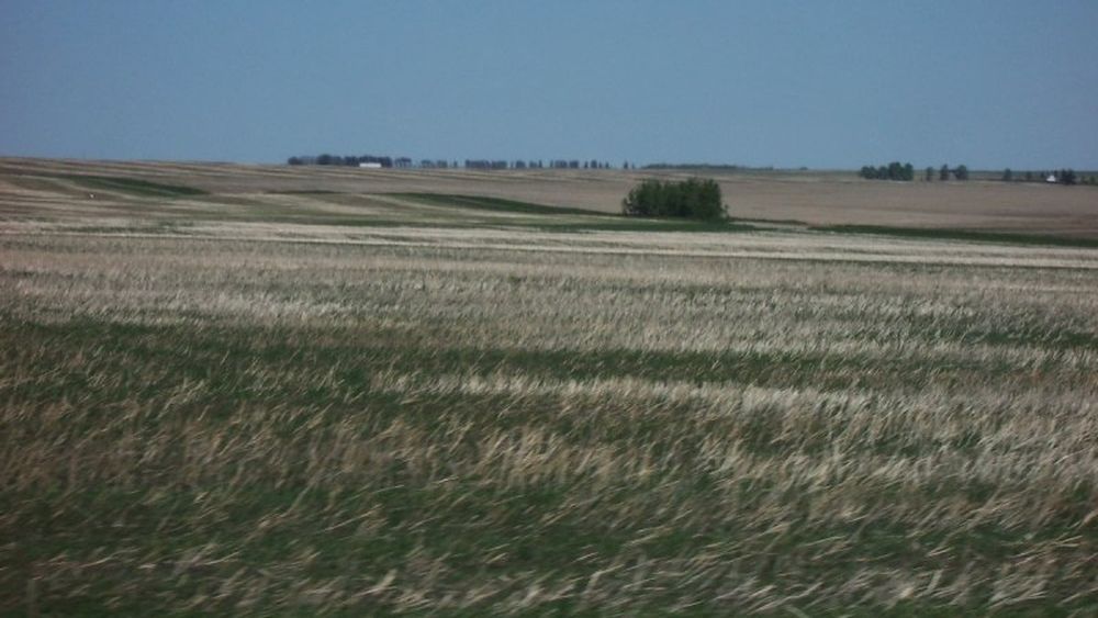 Clima Spaniei ar putea trece de la cea mediteraneană la cea de stepă până în 2050, pe fondul încălzirii globale. Spania este printre principalii producători agricoli europeni. Adaptarea la schimbările climatice în ultimii ani este dificilă