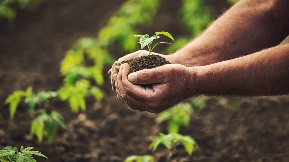 Regulamentul PAC 2025: Totul despre plățile directe către fermieri / Plafonul este stabilit la 100.000 euro anual per fermier / Se acordă atenție sporită femeilor din agricultură