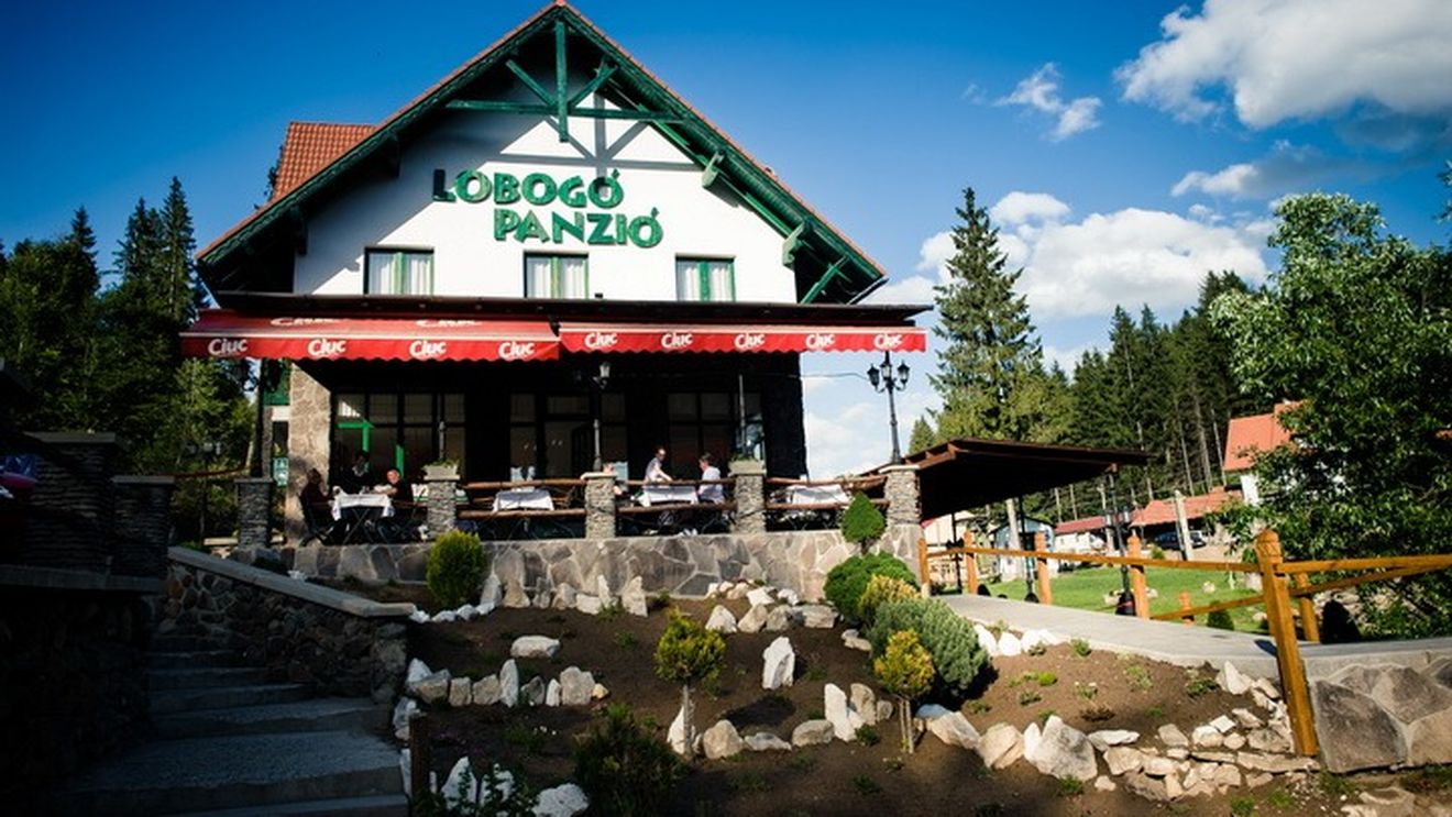 ANSVSA, despre toxiinfecţia alimentară din Harghita: Şi angajaţii restaurantului se simt rău/ Inspectorii au prelevat probe de ouă, maioneză şi peşte şi au extins controalele la trei unităţi furnizoare de materie primă