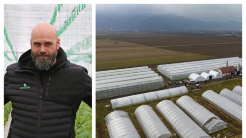 Cosmin Iancu, producător de legume din județul Hunedoara: „Nimeni nu doreşte să mai asigure sere, decât dacă acestea sunt pe structură de sticlă” / Care este motivul