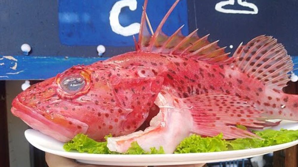 Galapagos, insulele Patrimoniu Natural al Umanității, importă de pe continent majoritatea hranei pentru localnici și turiști. Cultura alimentară și tradițiile gastronomice în acest ținut descris de Darvin. Cum funcționează aici agricultura și industriile alimentare