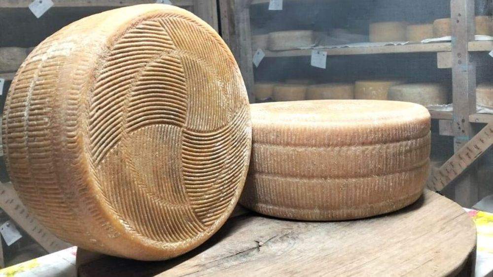 Trei medalii de aur, obținute de brânzeturi din Timiș și Tulcea la Concours International de Lyon 2025