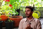 VIDEO | Roșii, căpșuni și plante aromatice: ce poți cultiva chiar dacă locuiești la bloc / Ovidiu Dinișor: „Nu ai nevoie de un hectar de pământ”