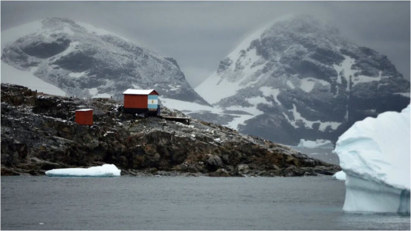 Genomul unei plante din Antarctica, cartografiat de cercetători pentru a dezvolta culturi agricole rezistente la climă