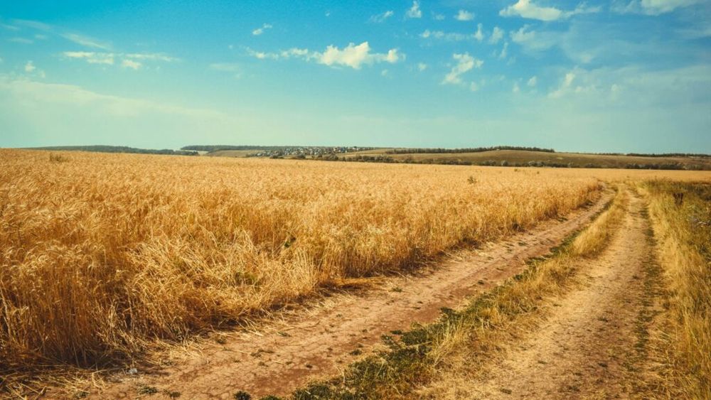 Accesul la culturi pe drumuri agricole, esenţial: În comuna maramureșeană Fărcaşa au fost refăcute drumurile din două sate