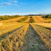 Țara care va oferi terenuri pentru activități agricole tinerilor, femeilor și celor care doresc să intre în rândul fermierilor