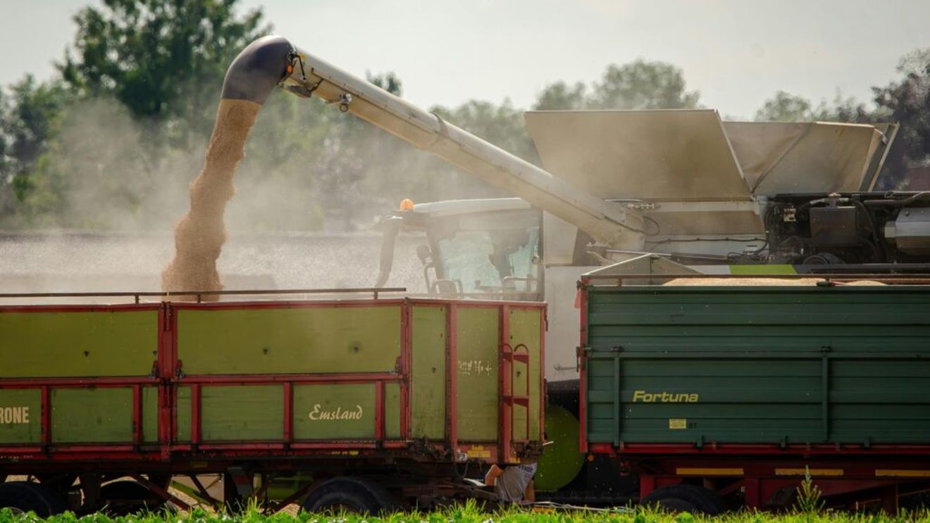 Consiliul Concurenţei analizează preluarea Intersystems Holding Inc. de către A-AG Holdco Ltd