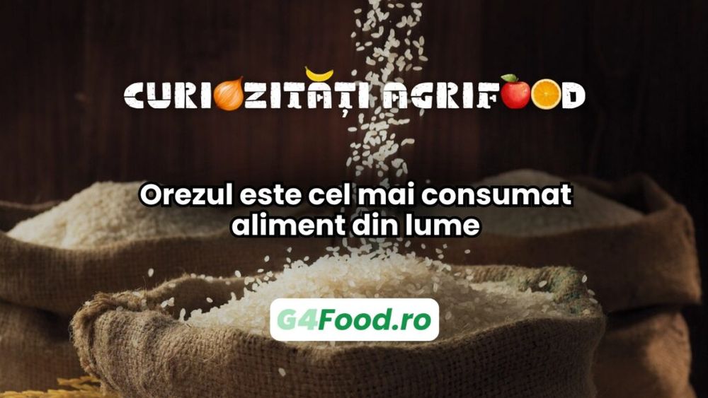 Curiozități agri-food 30 ianuarie: Orezul este cel mai consumat aliment din lume