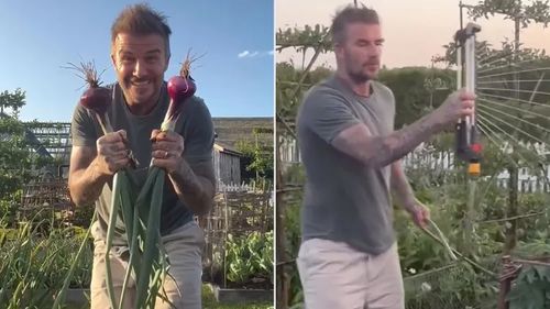 VIDEO | David Beckham, surprins în timp ce smulge o ceapă roșie coaptă direct din pământ / Fostul star de la Manchester United a distribuit imagini din grădina de legume de la conacul din Cotswolds, Anglia