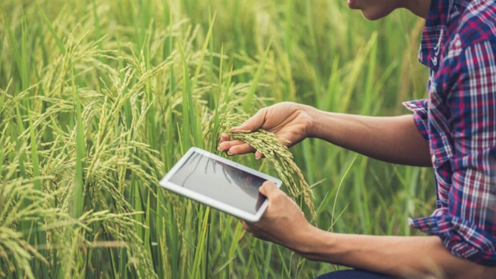 O companie românească de IT dezvoltă soluții pentru digitalizarea agriculturii / Fermierii își pot gestiona mai eficient activitatea din teren