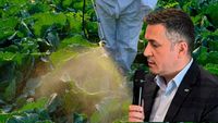 VIDEO | Romeo Șoldea, Autoritatea Națională Fitosanitară: „Autorizațiile de urgență nu trebuie să devină o practică obișnuită în agricultură”