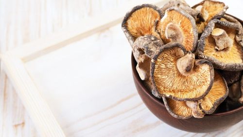 Moda „ciupercilor adaptogene” este umflată de marketing, avertizează o expertă / Beneficii există, dar și ciupercile obișnuite, precum champignon, au proprietăți valoroase