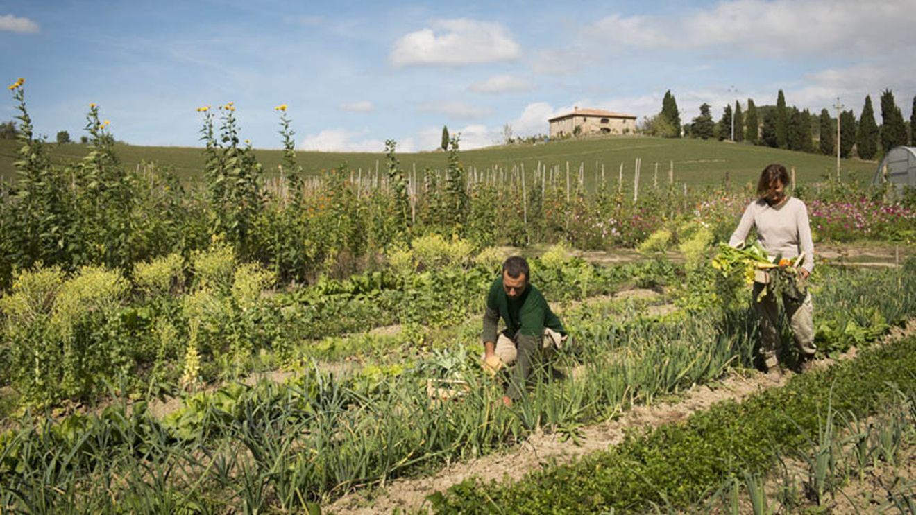 FOTO | Destinație de vacanță: Locul din Toscana unde luxul se combină cu turismul rural / Proprietatea se întinde pe peste 300 de hectare și funcționează ca un mic ecosistem agricol, în care terenurile, bucătăria și activitățile pentru oaspeți sunt strâns legate între ele