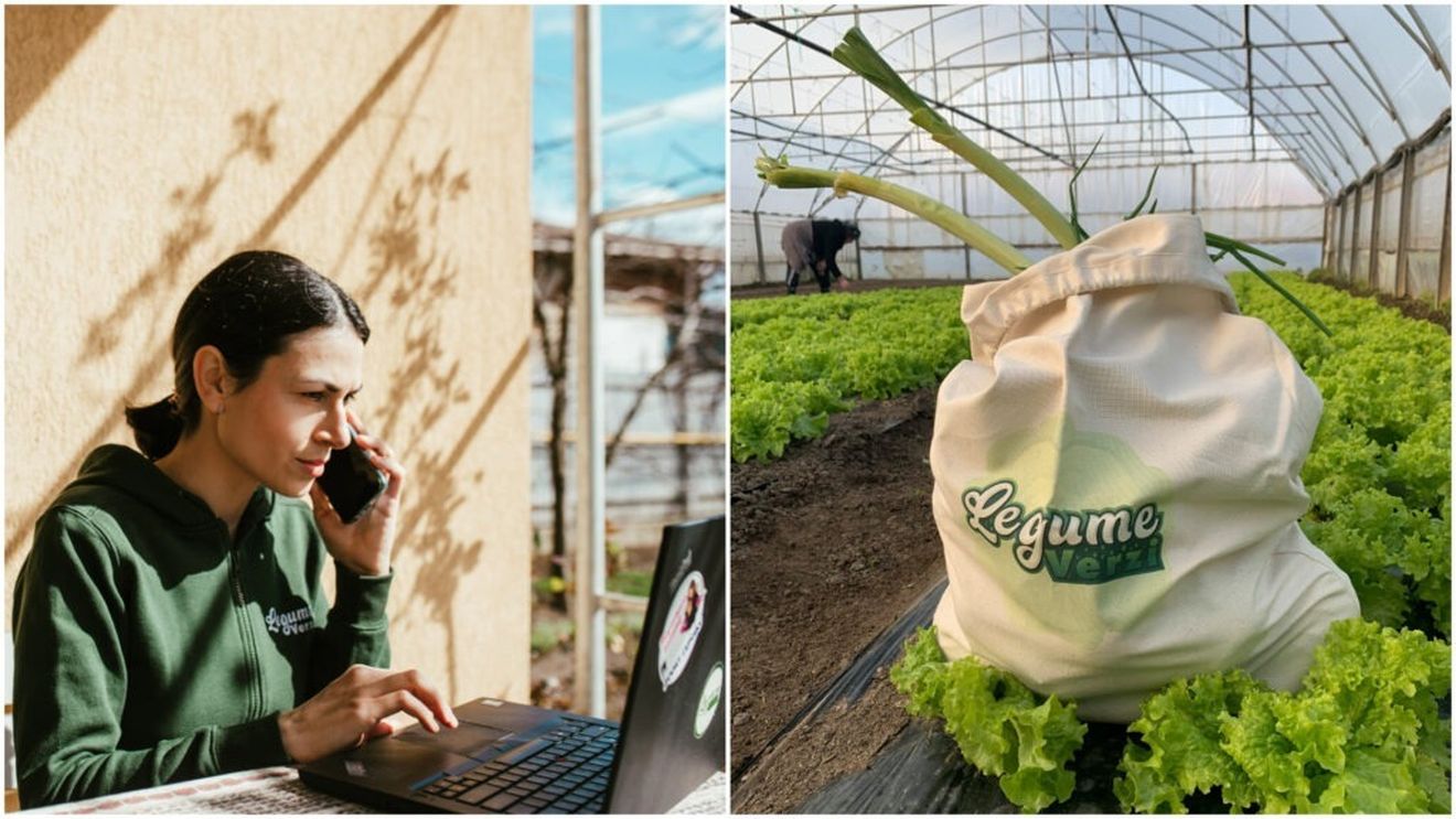 Fermier cu valoare adăugată: Ferma Legume Verzi produce, pe lângă legume proaspete, sos de roșii sau zacuscă sub brandul SELO / Vânzarea de produse procesate, o „gură de aer” în sezonul rece pentru un fermier