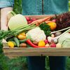6 legume care cresc rapid în mai puțin de 60 de zile / Ce poți planta în septembrie pentru o ultimă recoltă de toamnă