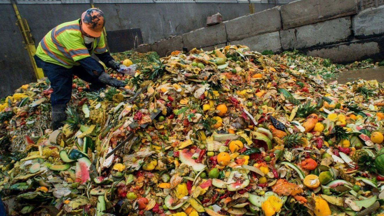 Cum ar putea fi transformată risipa alimentară într-o soluție reală pentru climă și economie