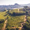 O excursie printre vii și spumante: Oltrepò Pavese, destinația italiană pe care nu știai că trebuie s-o pui pe hartă (GALERIE FOTO)