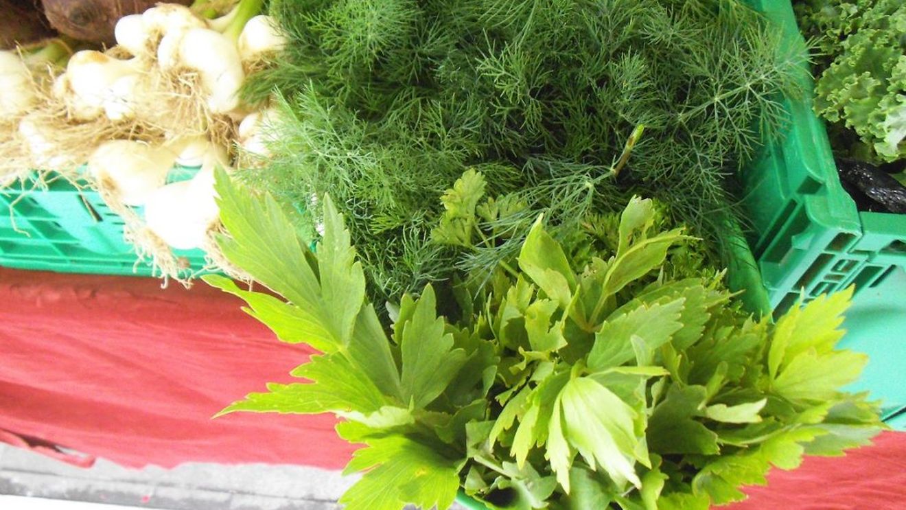 O cale de succes în legumicultură: familia Tanache lucrează un hectar de teren și vinde recolta într-o piață din București