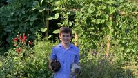 Arthur Motté, tânărul care cultivă legume bio pe doar 15 metri pătrați: „Nu ai nevoie de o grădină mare ca să produci hrană” /