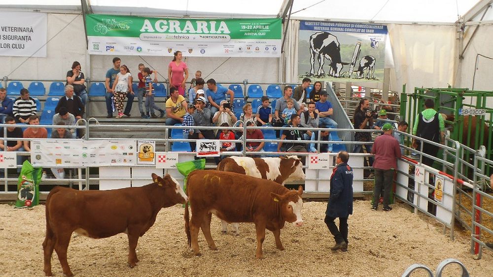 Organizatorii de expoziţii şi târguri profesionale, inclusiv cu profil agroalimentar, solicită sprijinul instituțiilor statului pentru reluarea activității, interzisă în primăvară din cauza pandemiei Covid-19