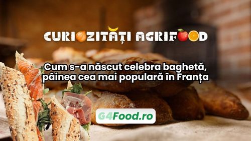 Curiozități agrifood - 23 decembrie: Cum s-a născut celebra baghetă, pâinea cea mai populară în Franța