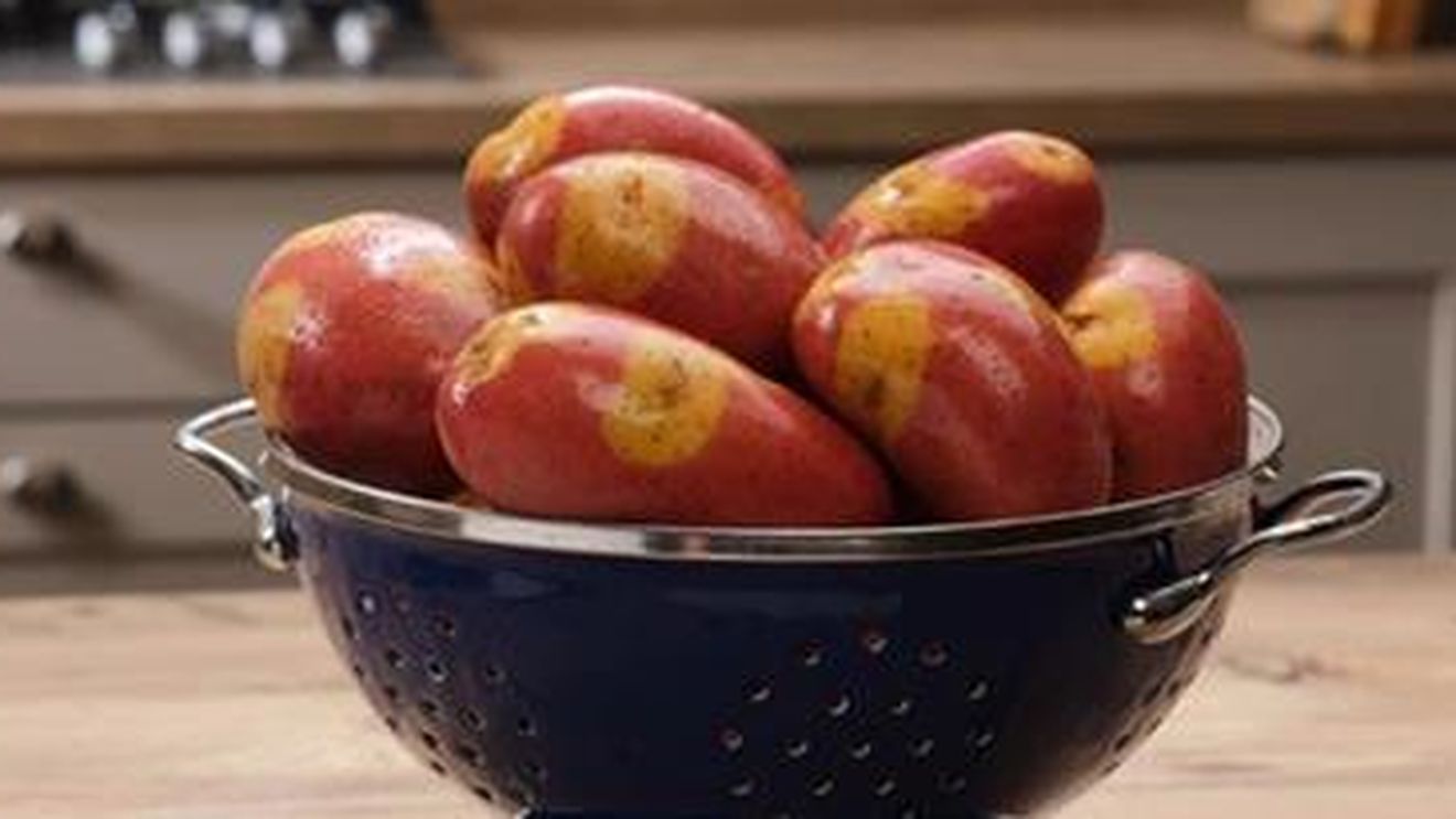 S-a lansat cartoful hibrid Nemo, un produs inovator pentru agricultură / Numit după peștele din desene animate, „Nemo” este destinat consumatorilor care caută produse rapid de preparat, dar și sustenabile / În plus, are o rezistență puternică la boli